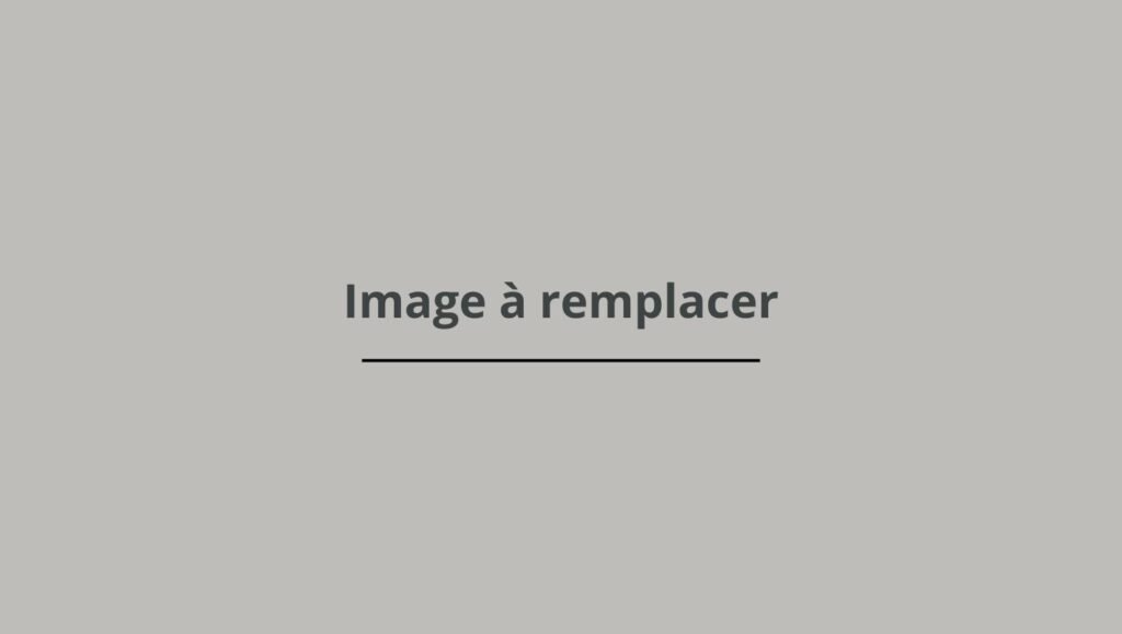 Comment choisir un artisan pour bénéficier de Ma Prime Rénov’ et optimiser vos travaux de rénovation ?